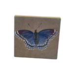 4 x 4 porcelain tile sublimation blank and printing