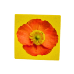 4.25 x 4.25 sublimation ready tile