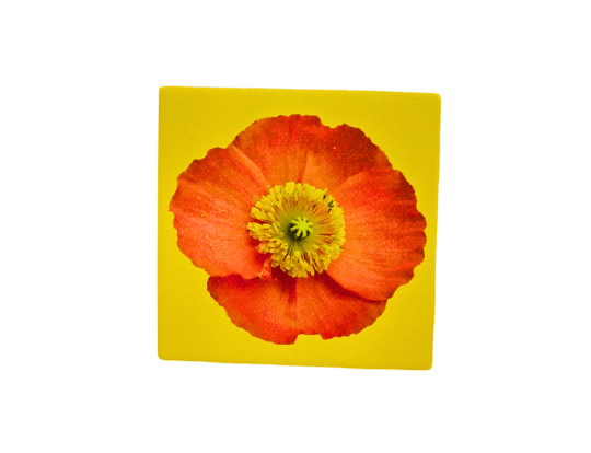 4.25 x 4.25 sublimation ready tile