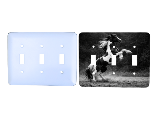 Personalized triple switch plate – 3 gang toggle, Princess rounded corners, blank and printed